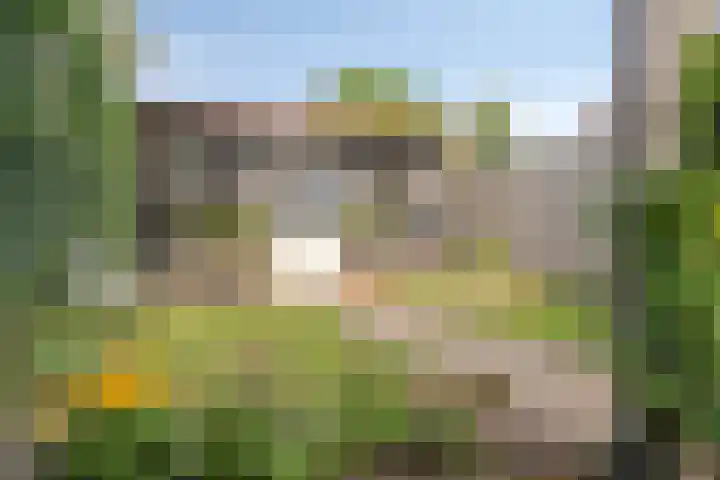 P.H. van Rijnstraat 6 Veenendaal thumbnail 25