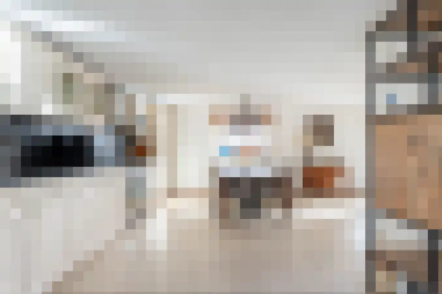 P. Hans Frankfurthersingel 19 Amsterdam thumbnail 18