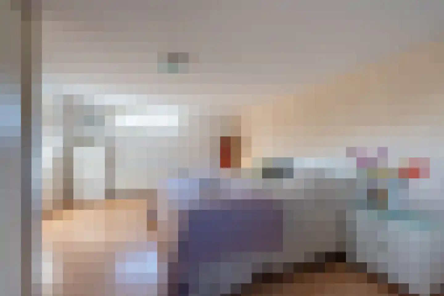 P. Hans Frankfurthersingel 19 Amsterdam thumbnail 31