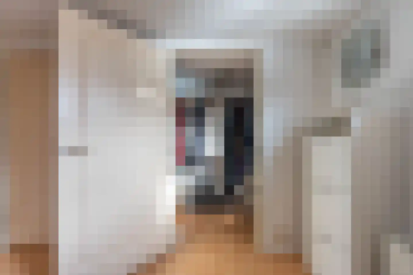 P. Hans Frankfurthersingel 19 Amsterdam thumbnail 35