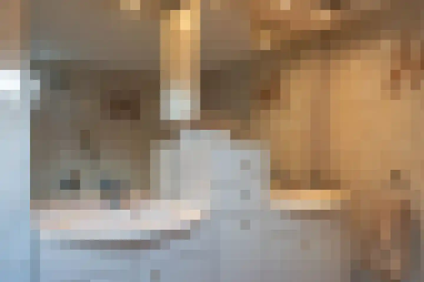 P. Hans Frankfurthersingel 19 Amsterdam thumbnail 38