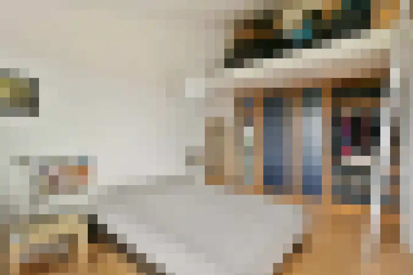 P. Hans Frankfurthersingel 216 Amsterdam thumbnail 19