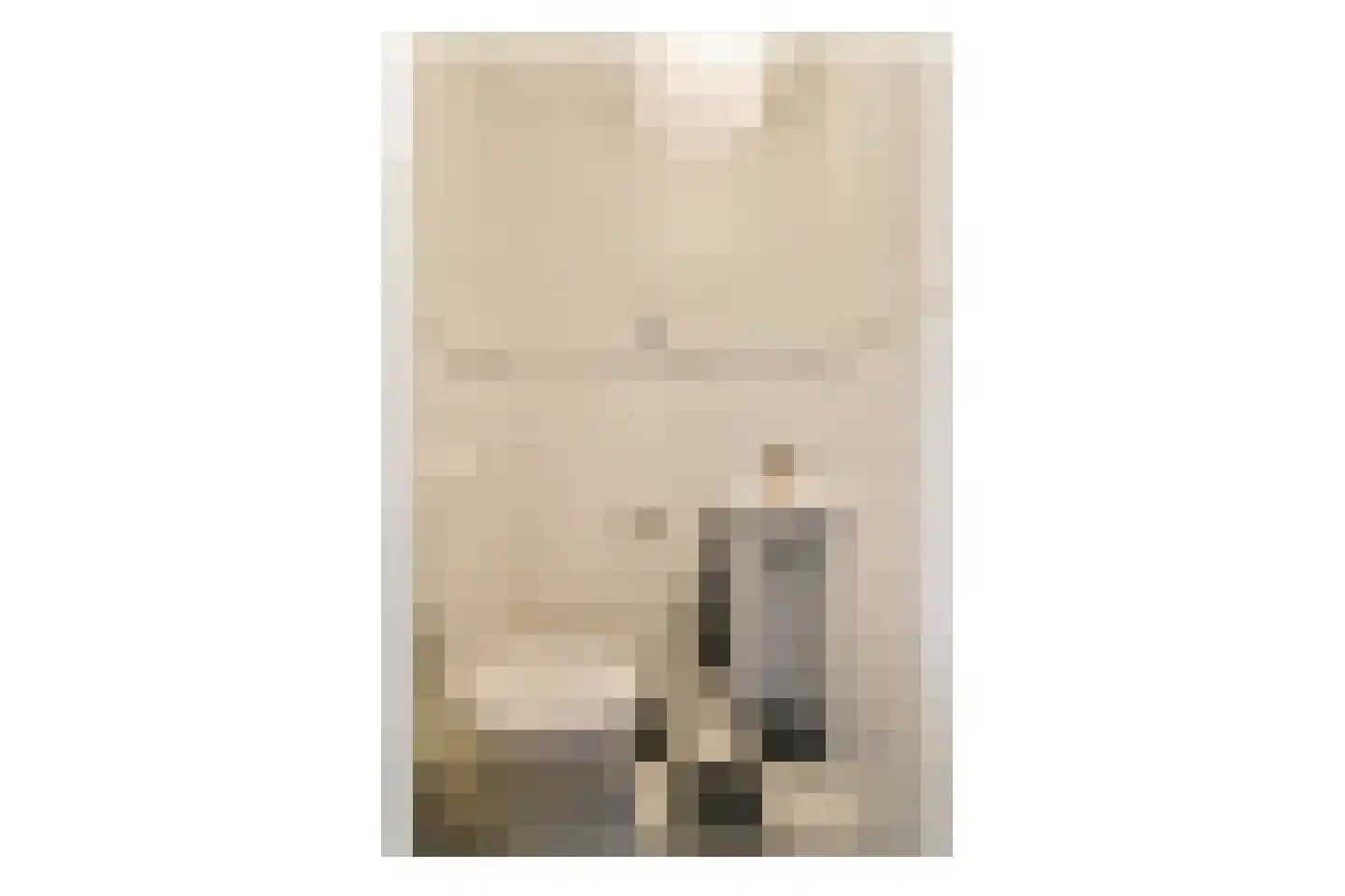 P. Hans Frankfurthersingel 216 Amsterdam thumbnail 33