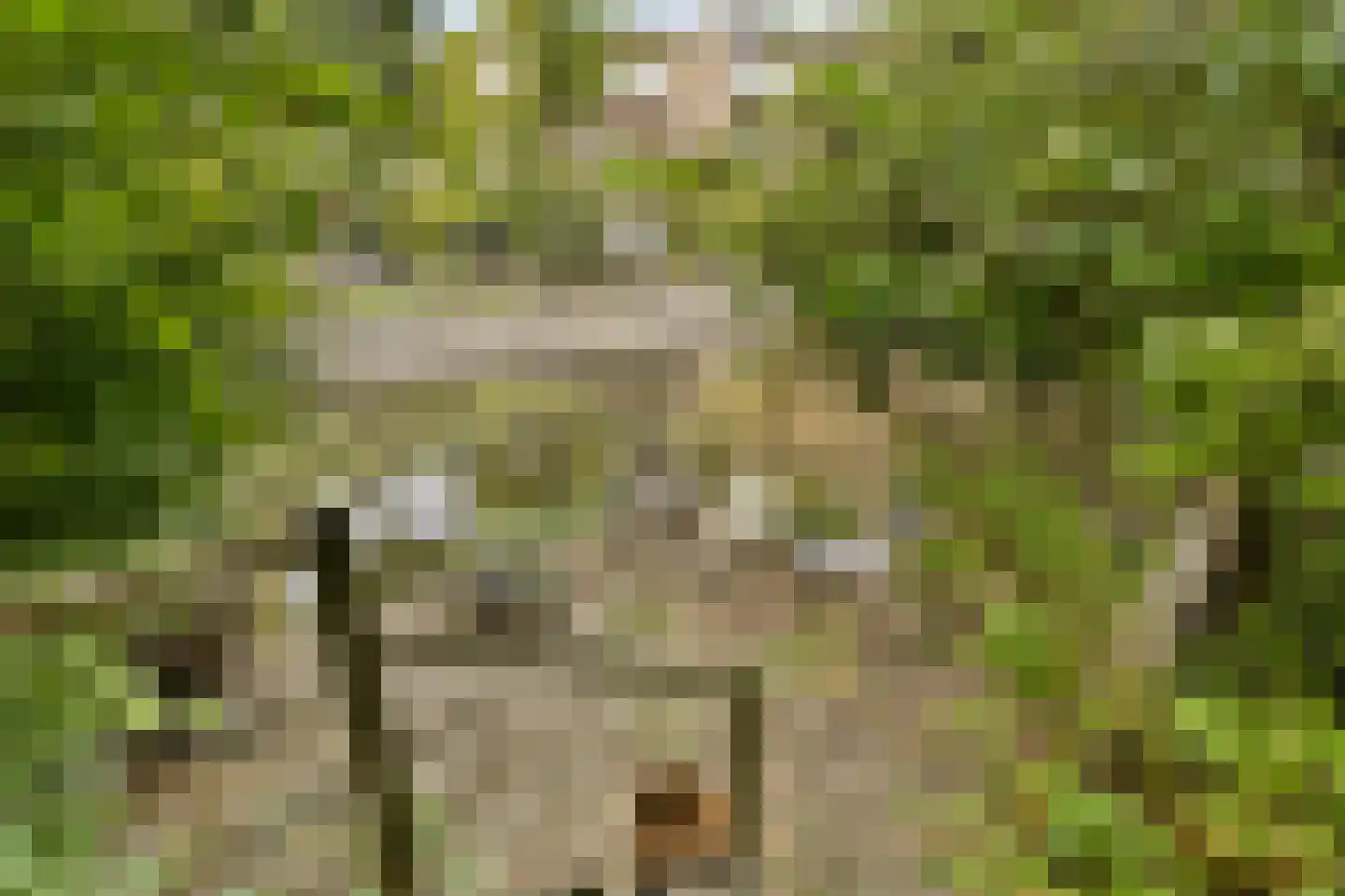 P. Hans Frankfurthersingel 216 Amsterdam thumbnail 4