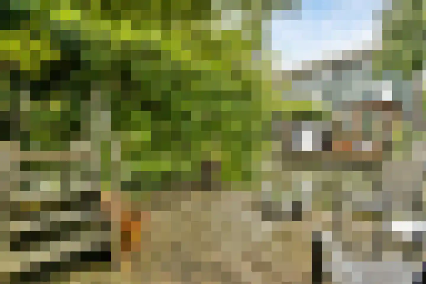 P. Hans Frankfurthersingel 216 Amsterdam thumbnail 41
