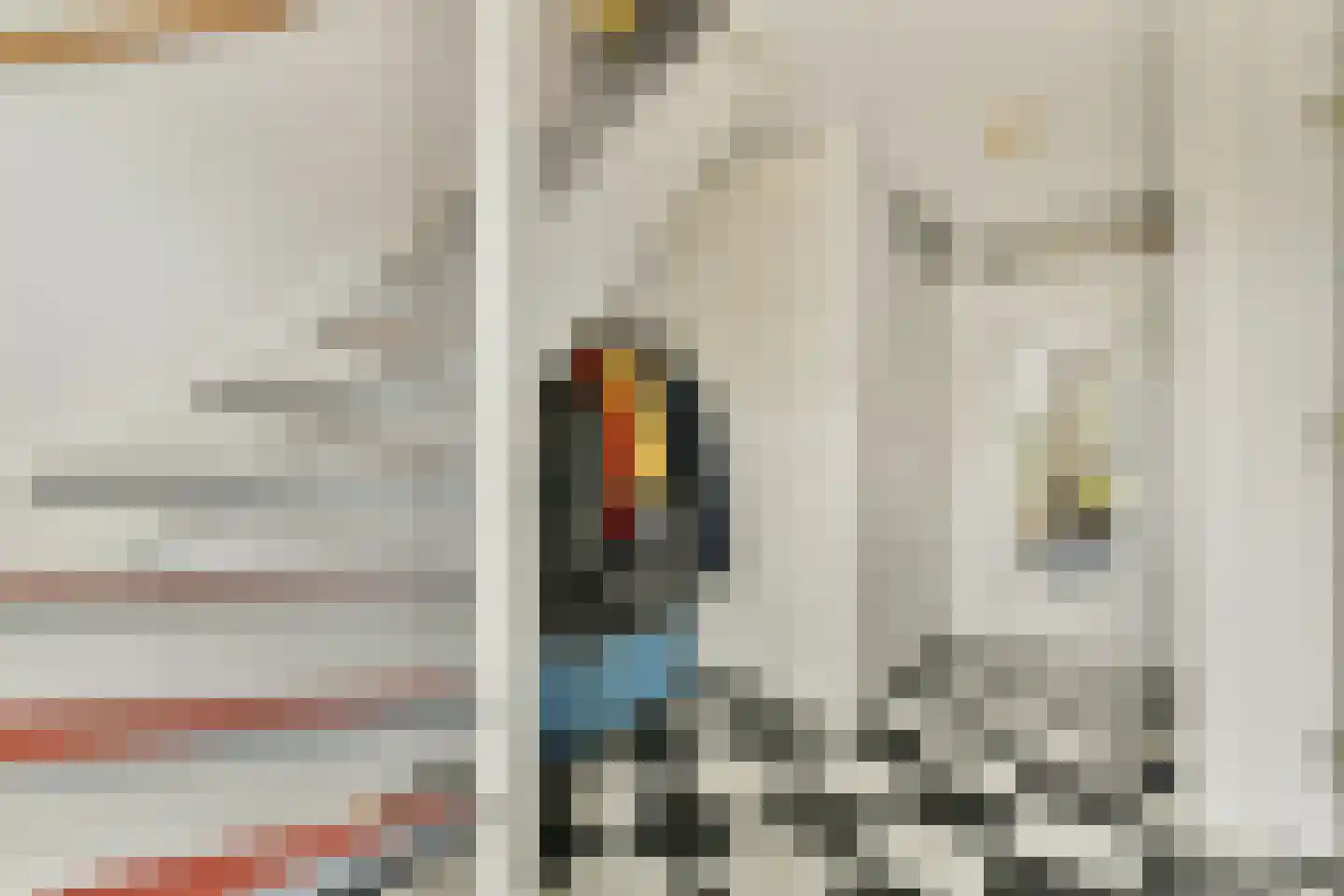 P. Hans Frankfurthersingel 216 Amsterdam thumbnail 7