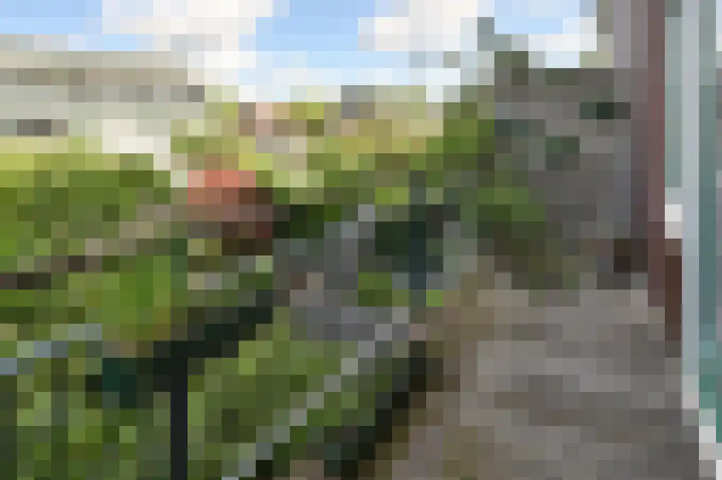 P. Hans Frankfurthersingel 234 Amsterdam thumbnail 13