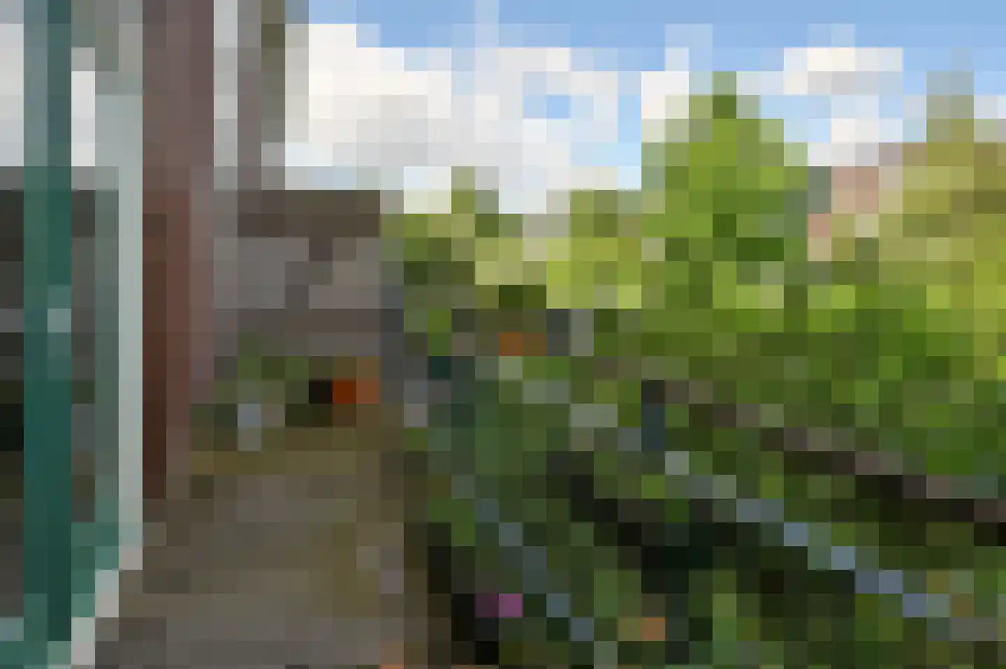 P. Hans Frankfurthersingel 234 Amsterdam thumbnail 14