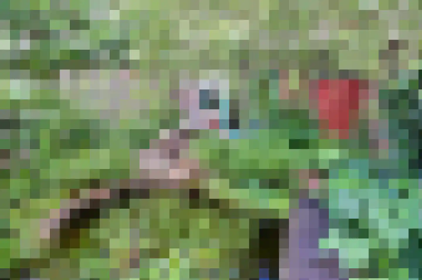 P. Hans Frankfurthersingel 234 Amsterdam thumbnail 18