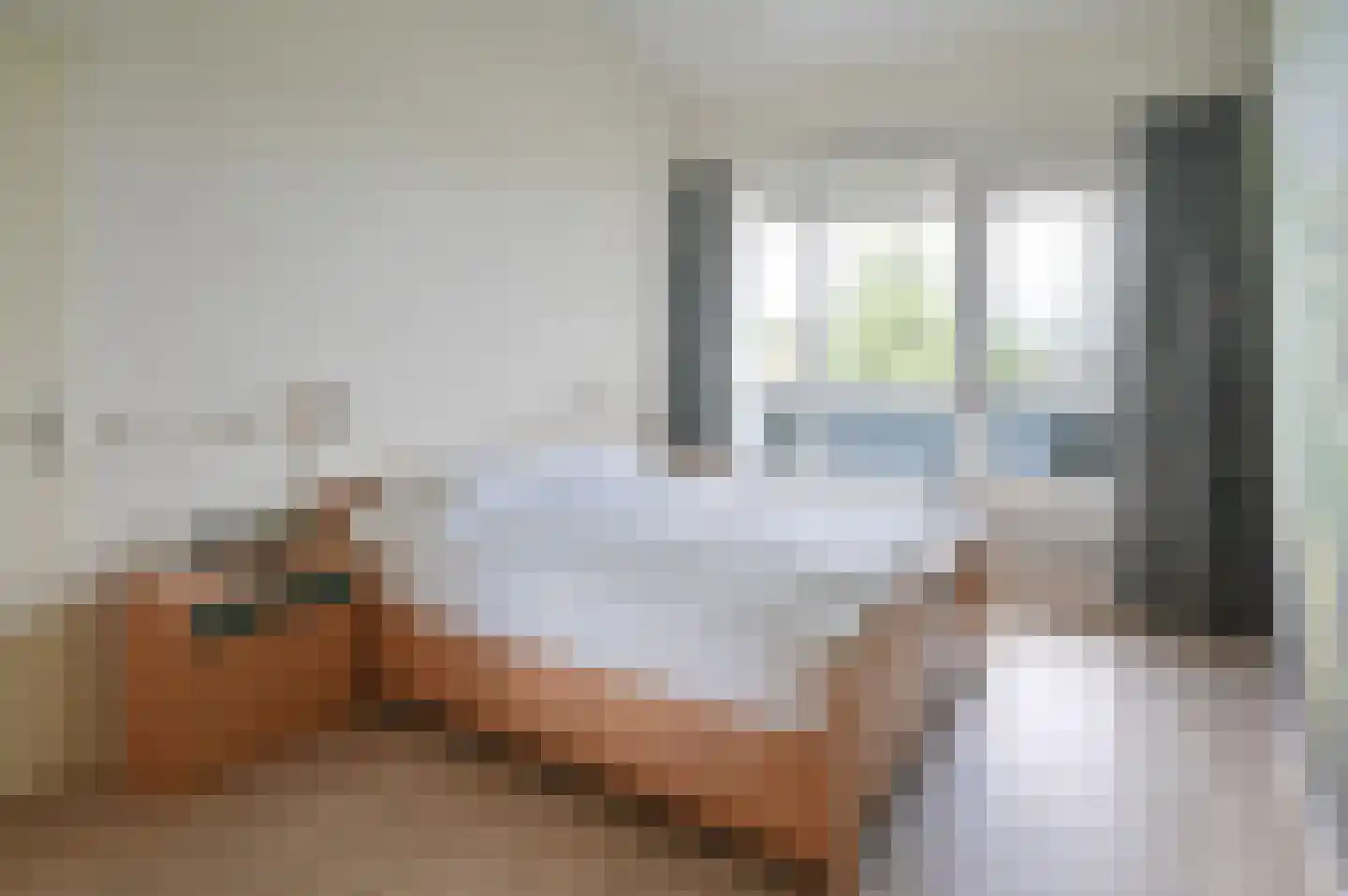 P. Hans Frankfurthersingel 234 Amsterdam thumbnail 20