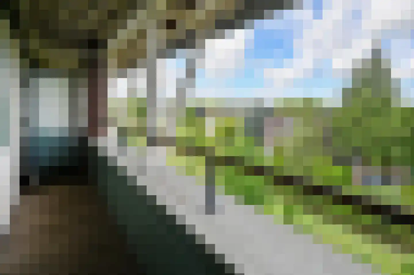 P. Hans Frankfurthersingel 234 Amsterdam thumbnail 25