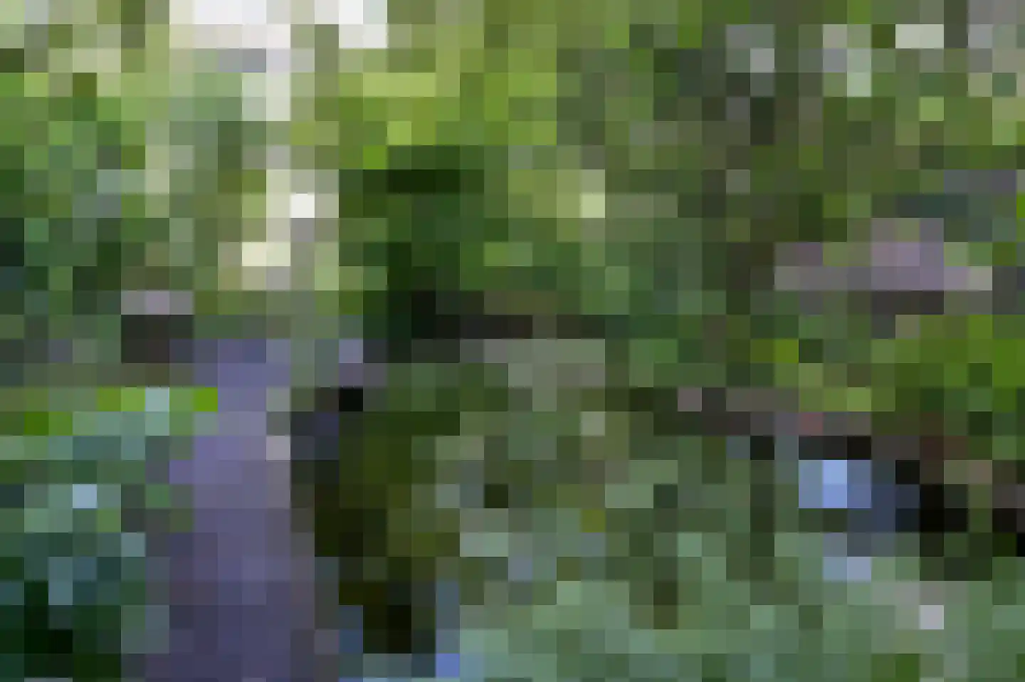 P. Hans Frankfurthersingel 234 Amsterdam thumbnail 27