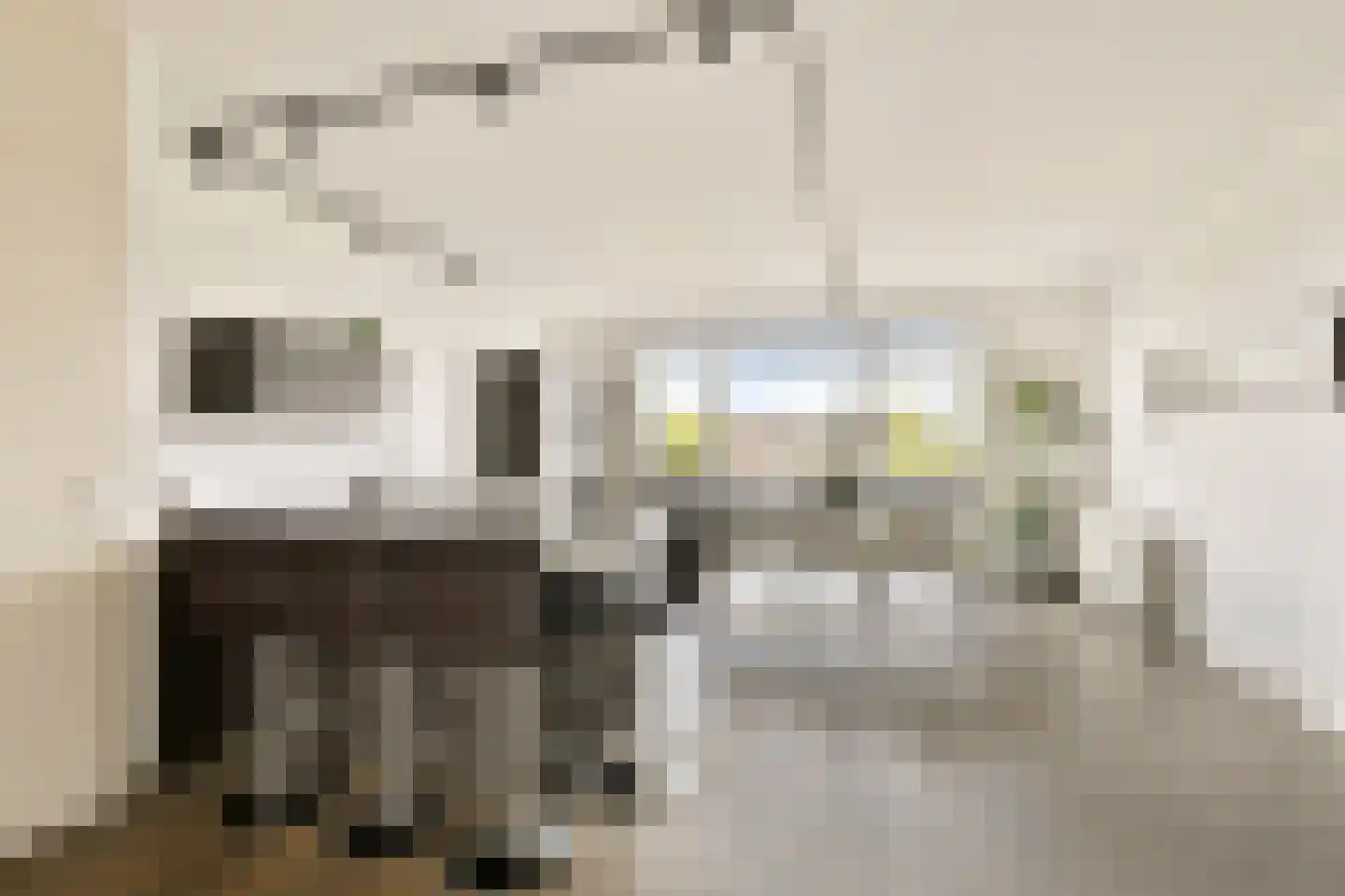 P. Hans Frankfurthersingel 240 Amsterdam thumbnail 10