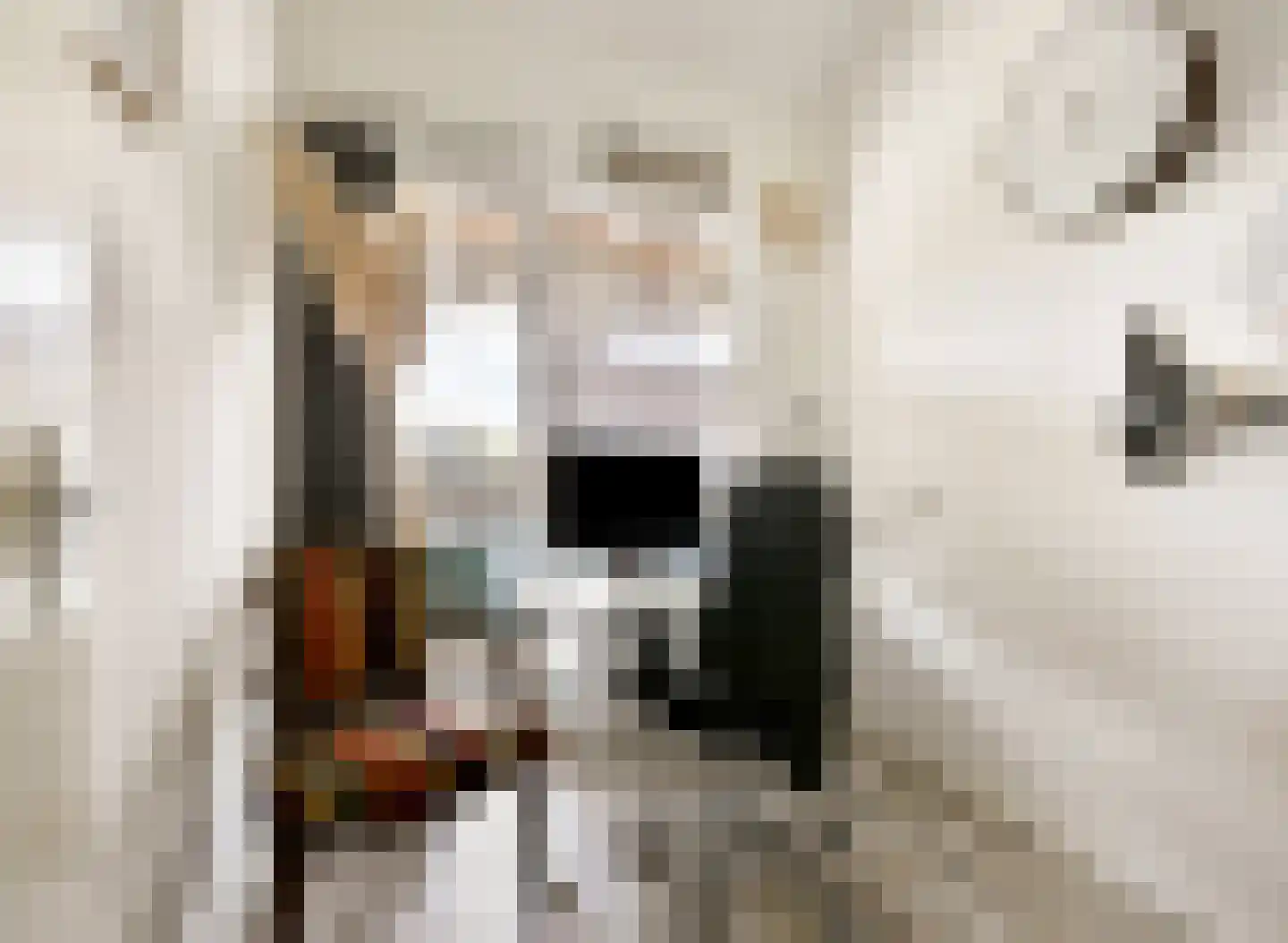 P. Hans Frankfurthersingel 240 Amsterdam thumbnail 13