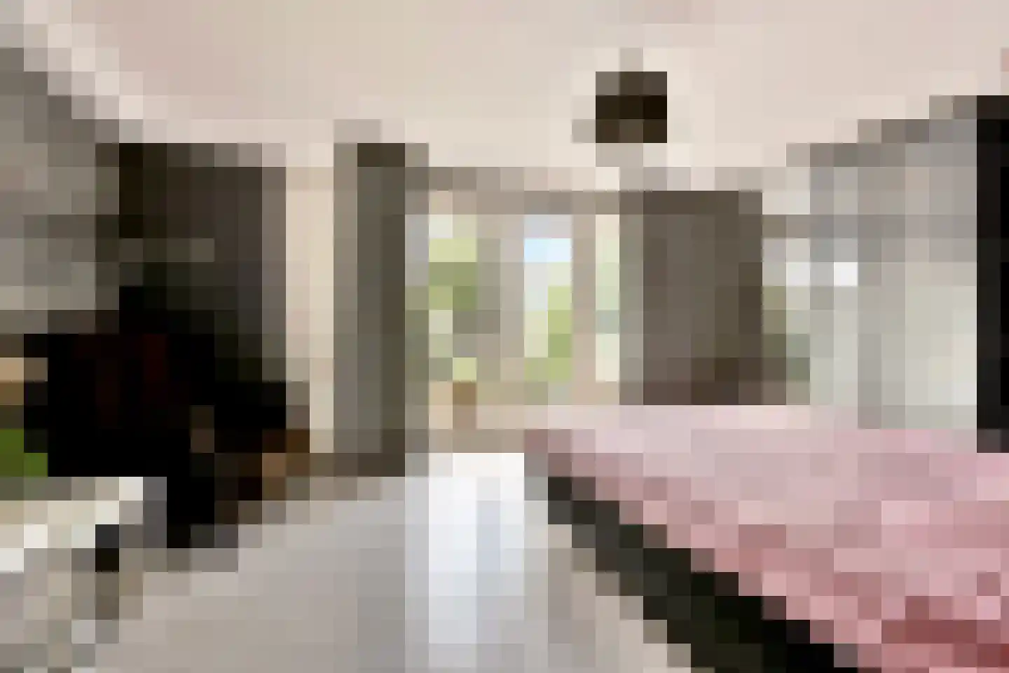 P. Hans Frankfurthersingel 240 Amsterdam thumbnail 26
