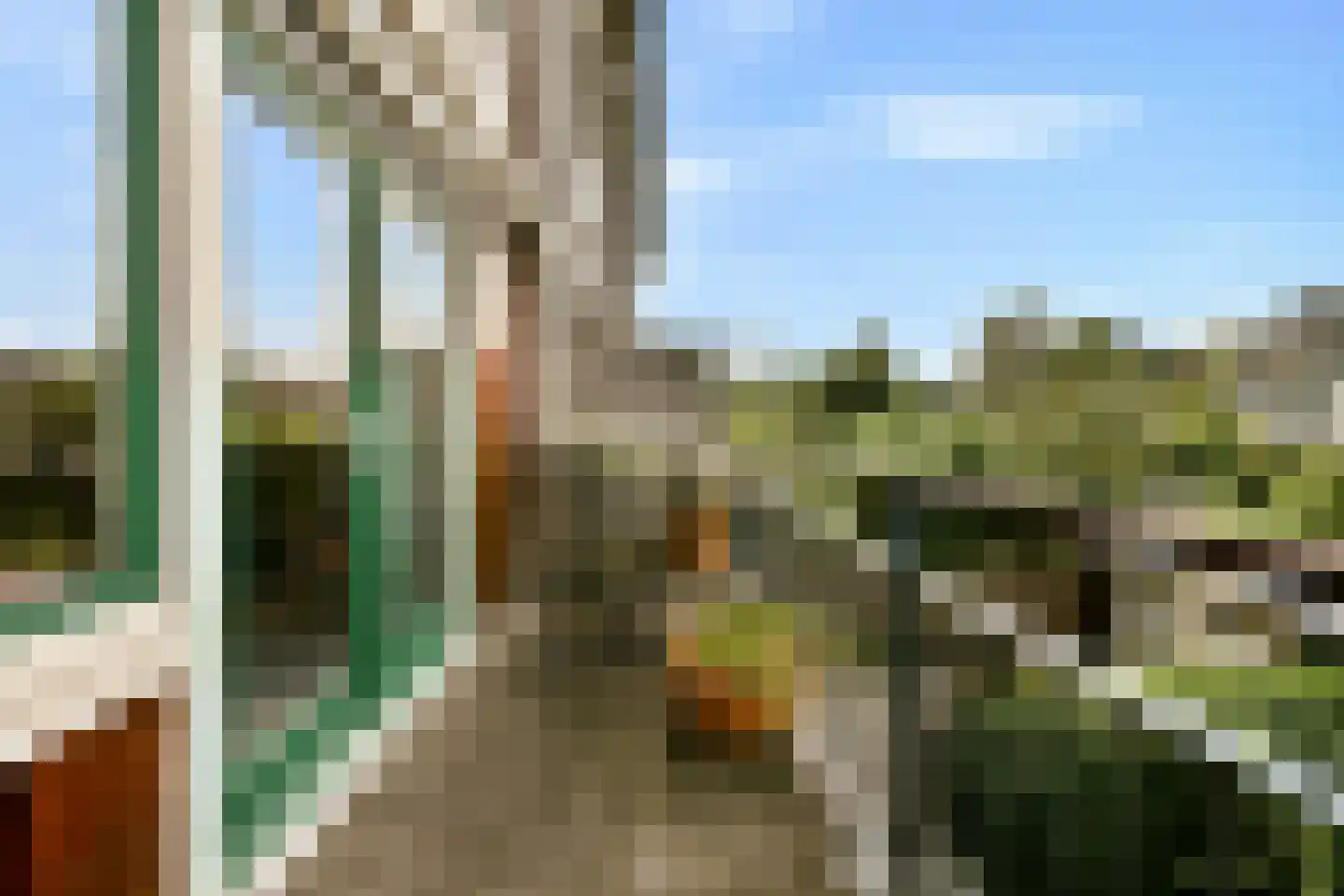 P. Hans Frankfurthersingel 240 Amsterdam thumbnail 27