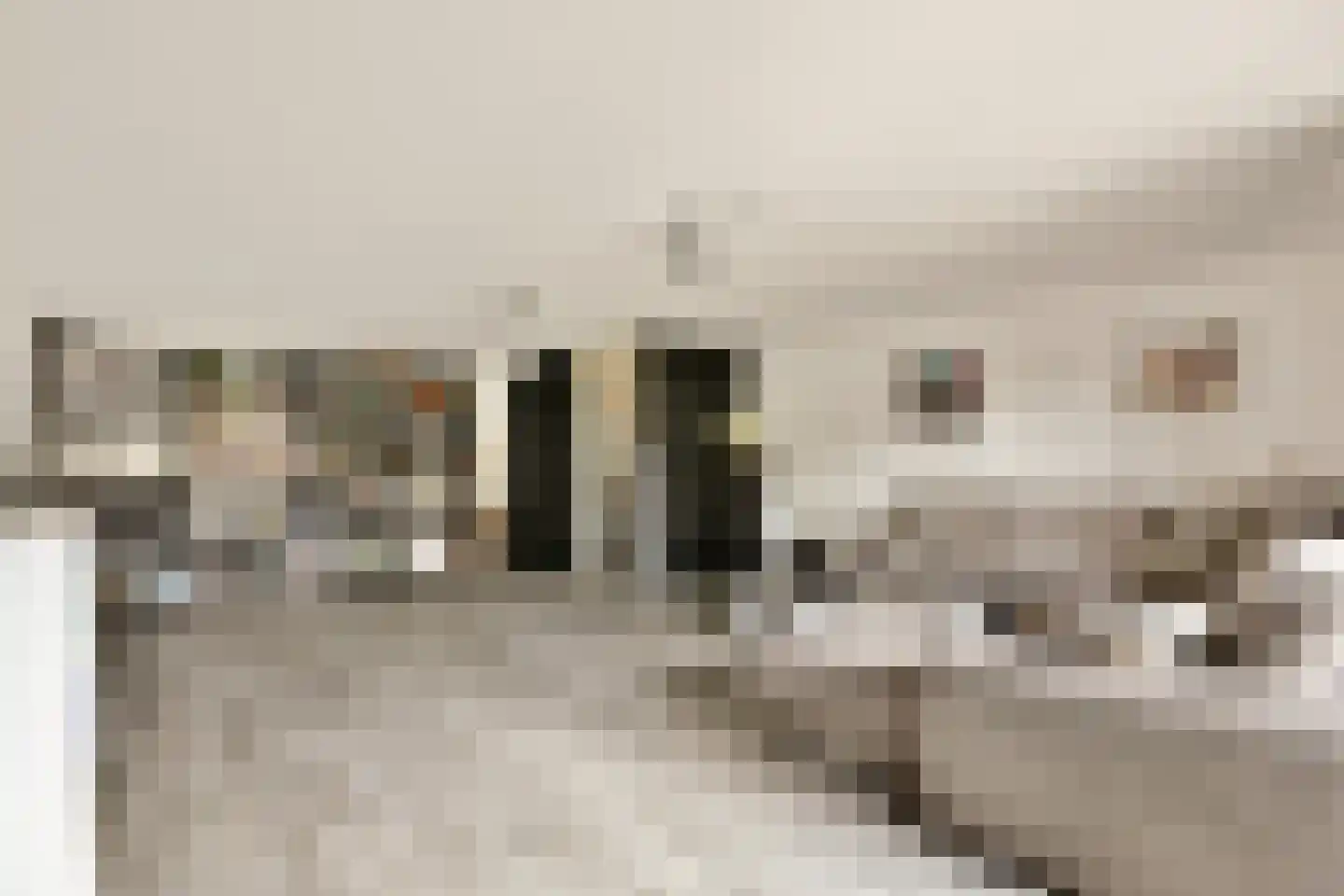 P. Hans Frankfurthersingel 240 Amsterdam thumbnail 29