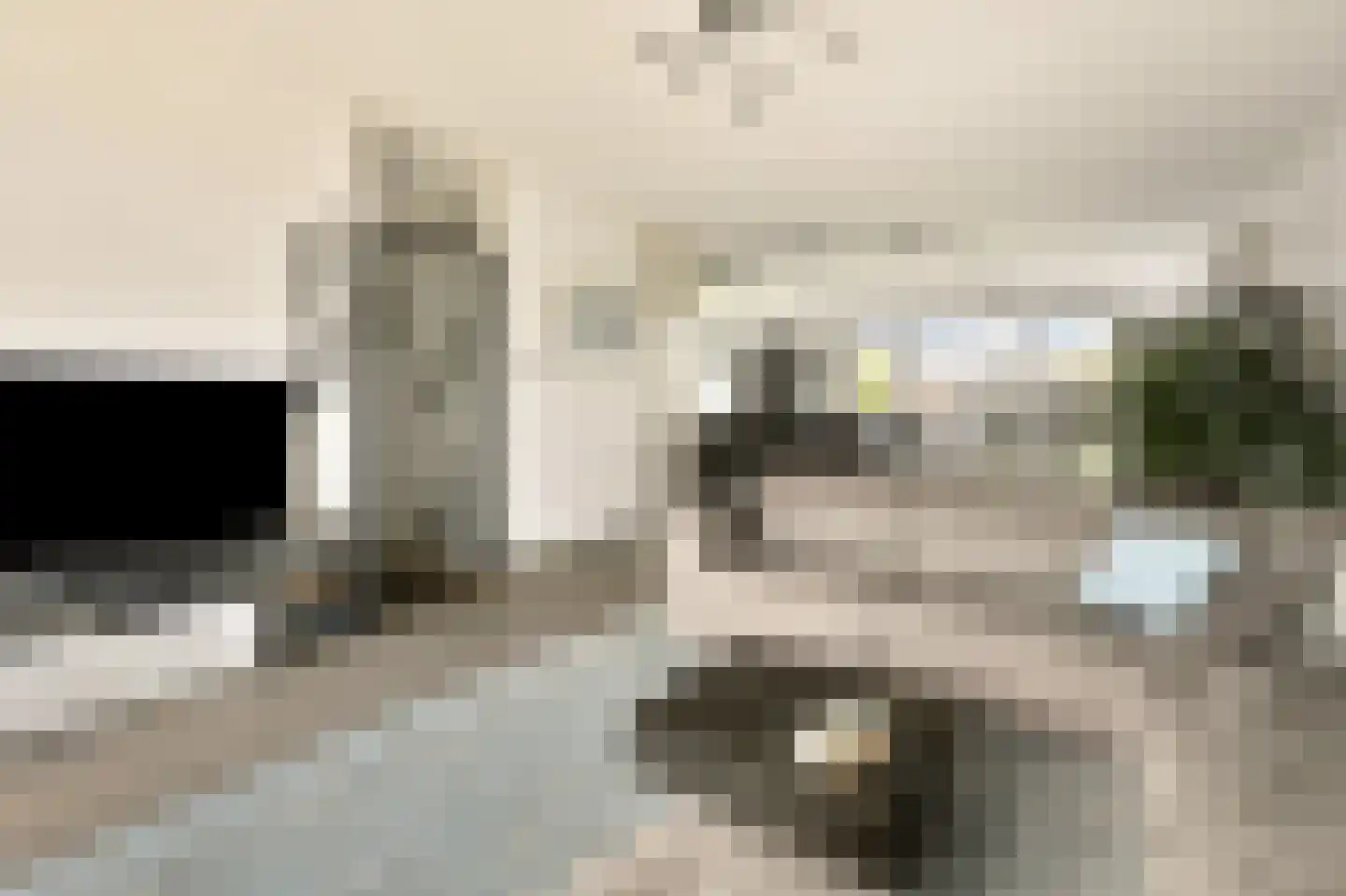 P. Hans Frankfurthersingel 240 Amsterdam thumbnail 4