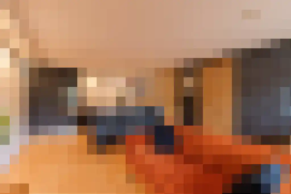 P. Hans Frankfurthersingel 244 Amsterdam thumbnail 6
