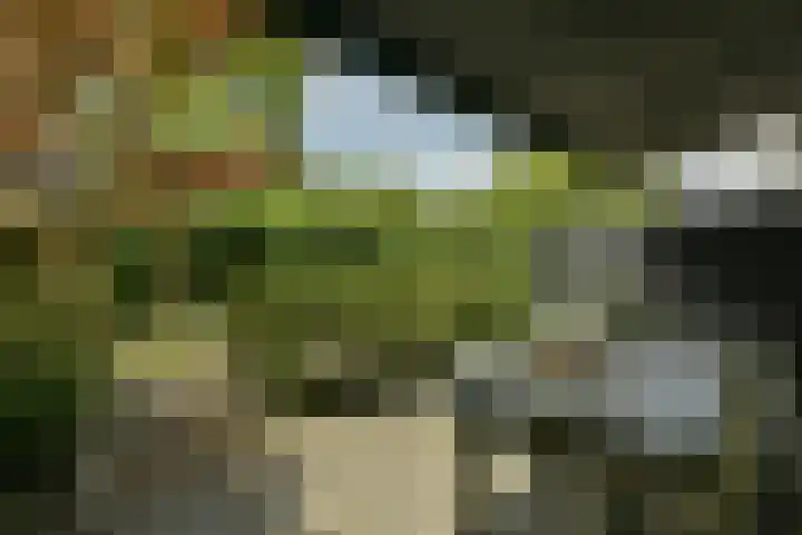 P. Hans Frankfurthersingel 264 Amsterdam thumbnail 10