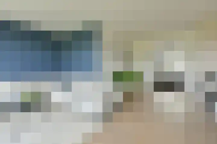 P. Hans Frankfurthersingel 264 Amsterdam thumbnail 12