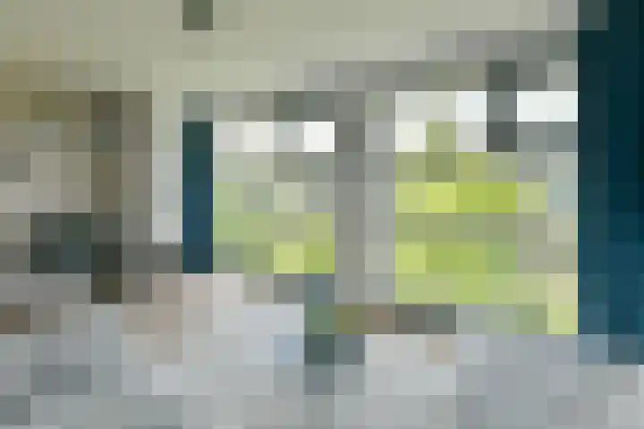 P. Hans Frankfurthersingel 264 Amsterdam thumbnail 13
