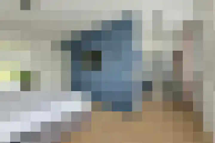 P. Hans Frankfurthersingel 264 Amsterdam thumbnail 15