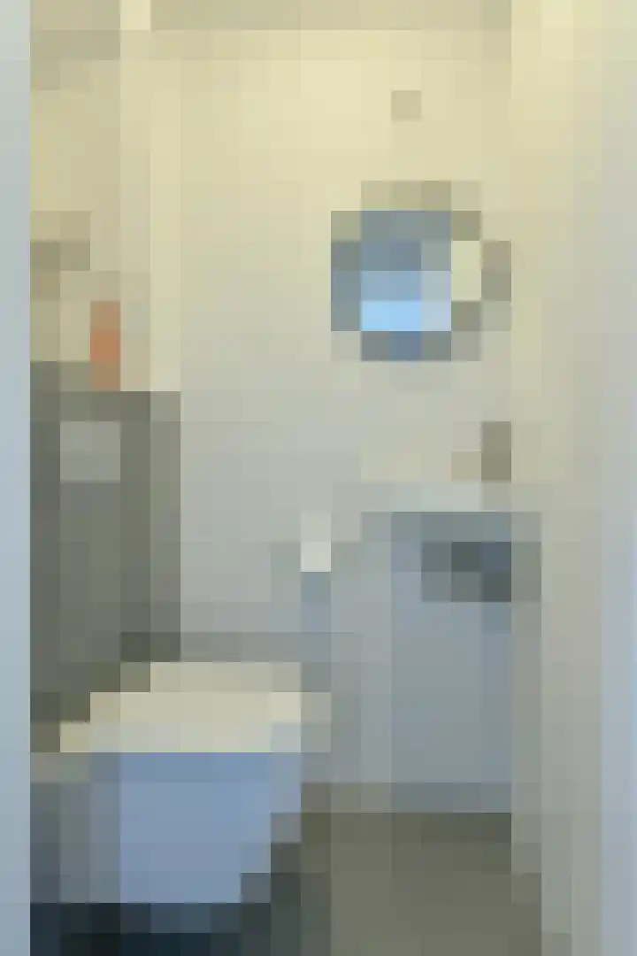 P. Hans Frankfurthersingel 264 Amsterdam thumbnail 17