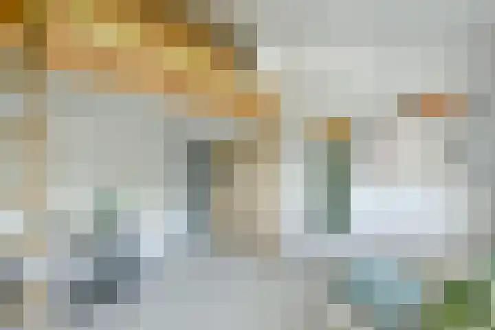 P. Hans Frankfurthersingel 264 Amsterdam thumbnail 19
