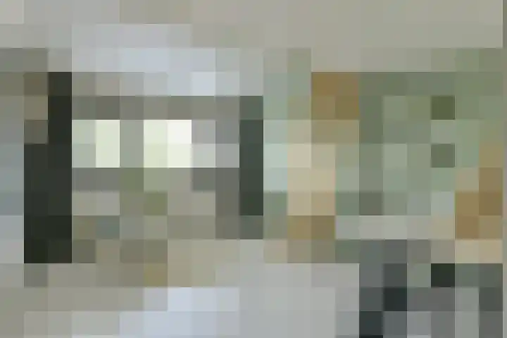 P. Hans Frankfurthersingel 264 Amsterdam thumbnail 20