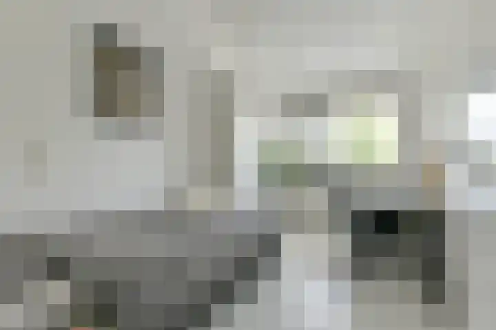 P. Hans Frankfurthersingel 264 Amsterdam thumbnail 21