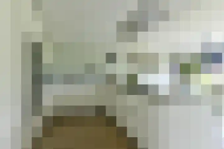 P. Hans Frankfurthersingel 264 Amsterdam thumbnail 5
