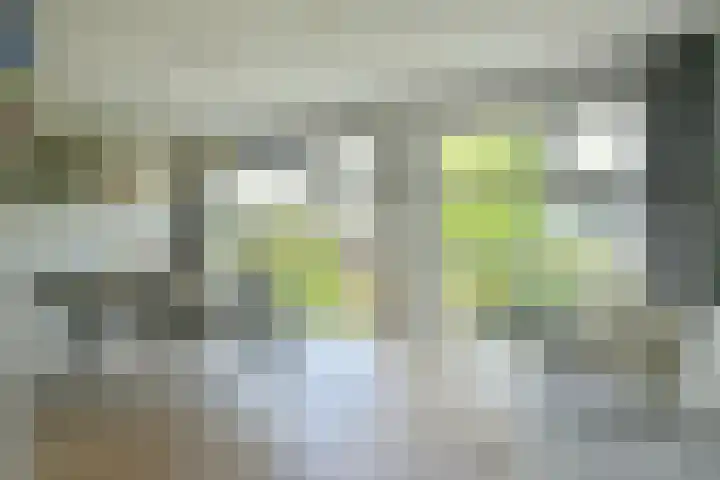P. Hans Frankfurthersingel 264 Amsterdam thumbnail 6