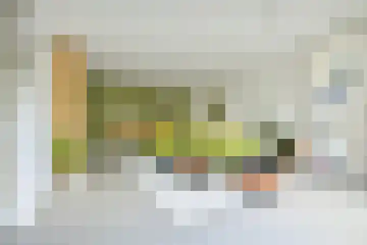 P. Hans Frankfurthersingel 264 Amsterdam thumbnail 8