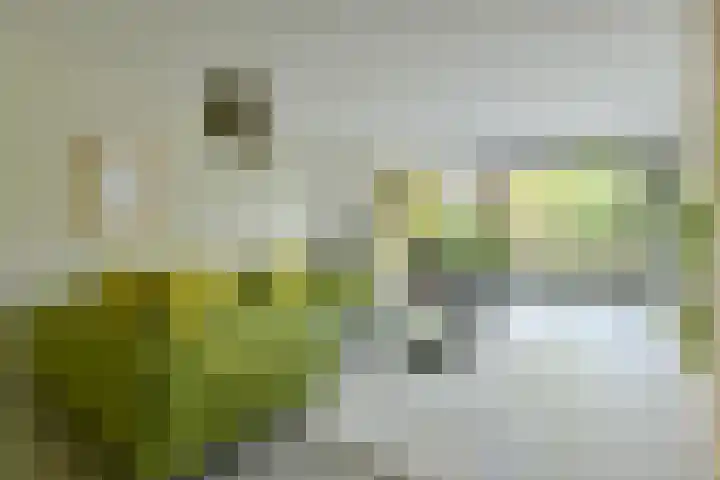 P. Hans Frankfurthersingel 264 Amsterdam thumbnail 9