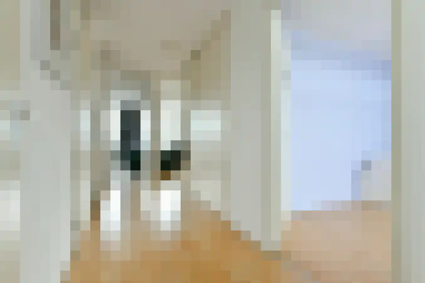 P. Hans Frankfurthersingel 74 Amsterdam thumbnail 18