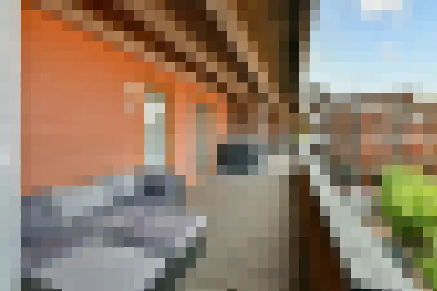 P. Hans Frankfurthersingel 74 Amsterdam thumbnail 4
