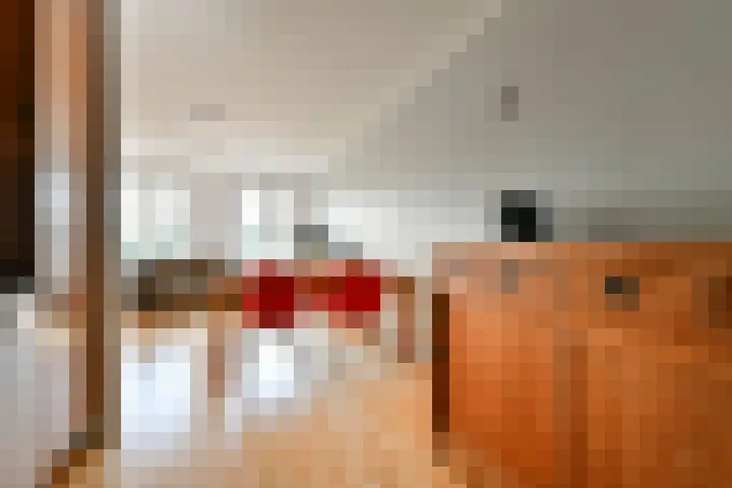 P. Hans Frankfurthersingel 74 Amsterdam thumbnail 9
