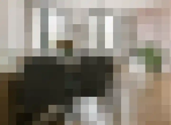 P. Hans Frankfurthersingel 98 Amsterdam thumbnail 10
