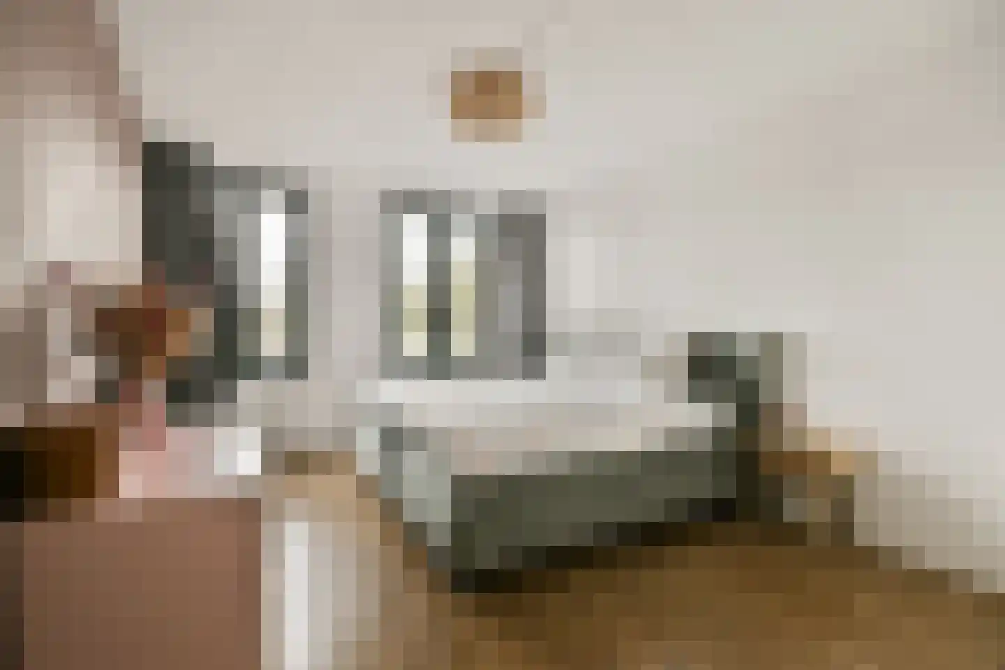 P. Hans Frankfurthersingel 98 Amsterdam thumbnail 11