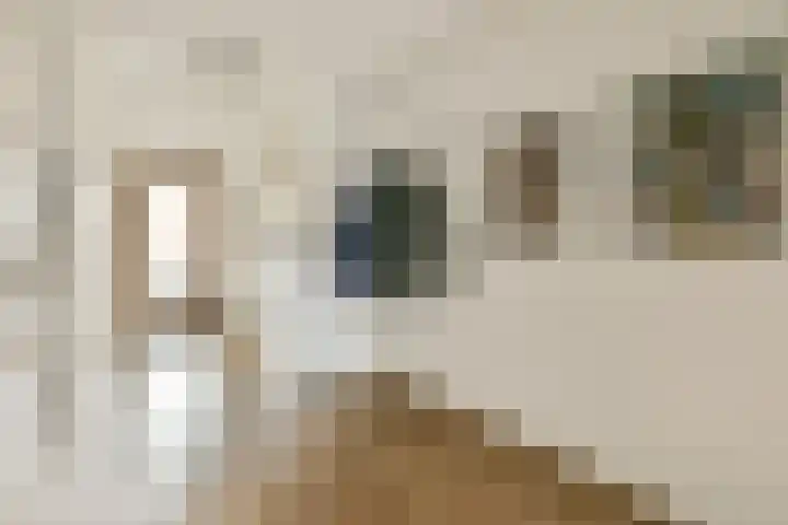 P. Hans Frankfurthersingel 98 Amsterdam thumbnail 17