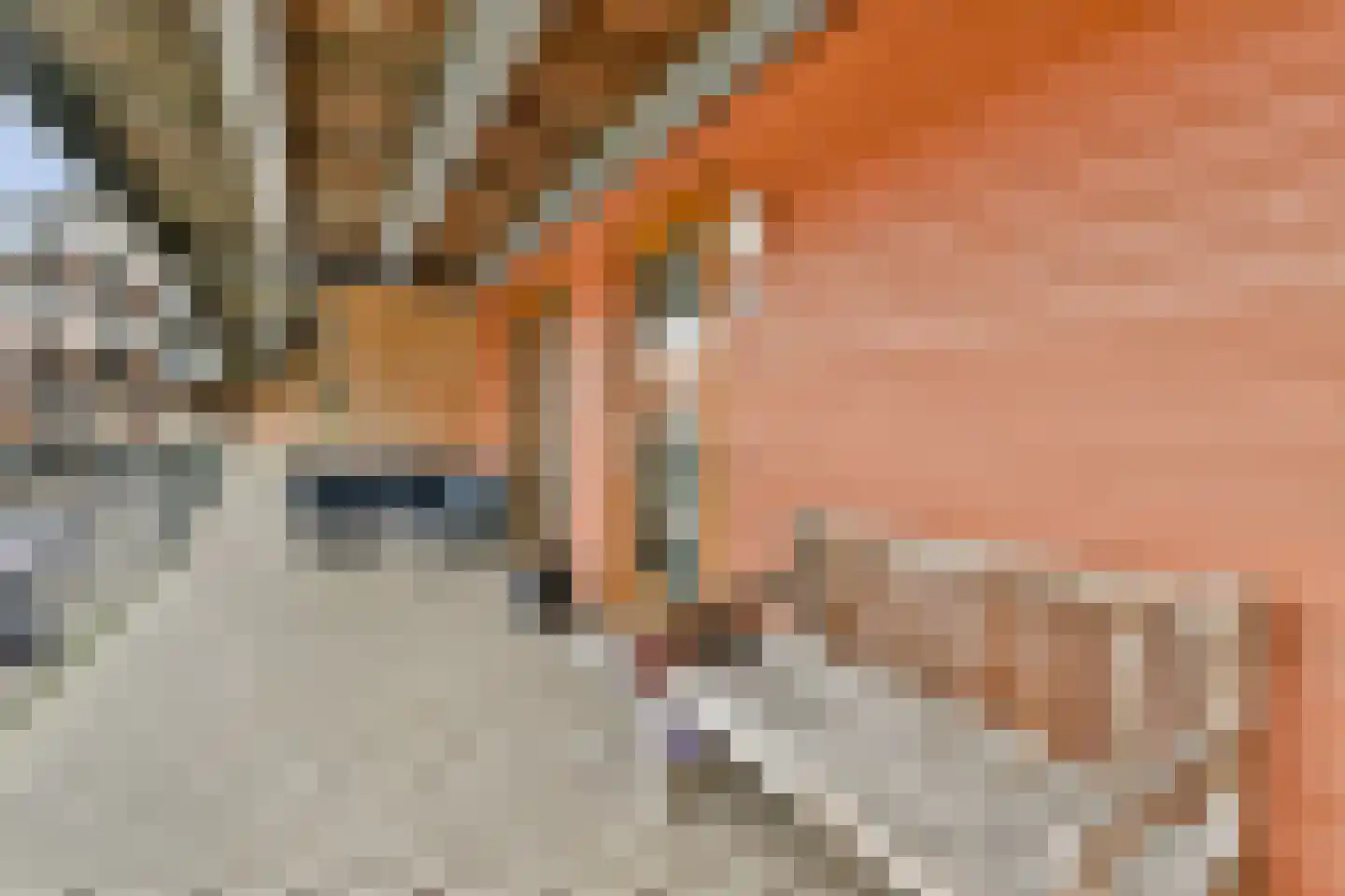 P. Hans Frankfurthersingel 98 Amsterdam thumbnail 18