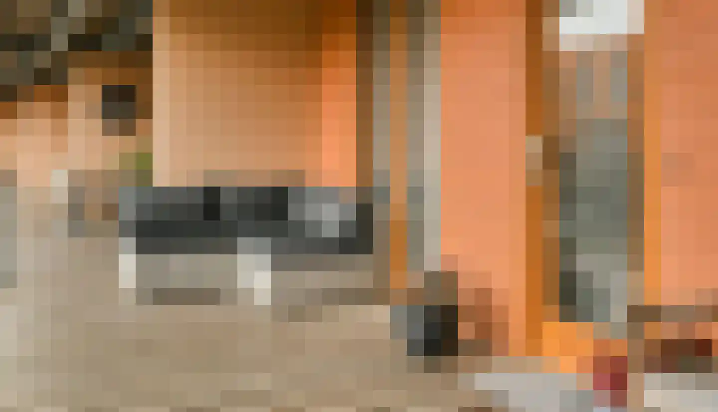 P. Hans Frankfurthersingel 98 Amsterdam thumbnail 19