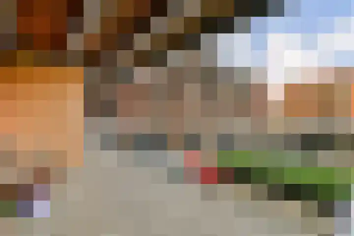 P. Hans Frankfurthersingel 98 Amsterdam thumbnail 21