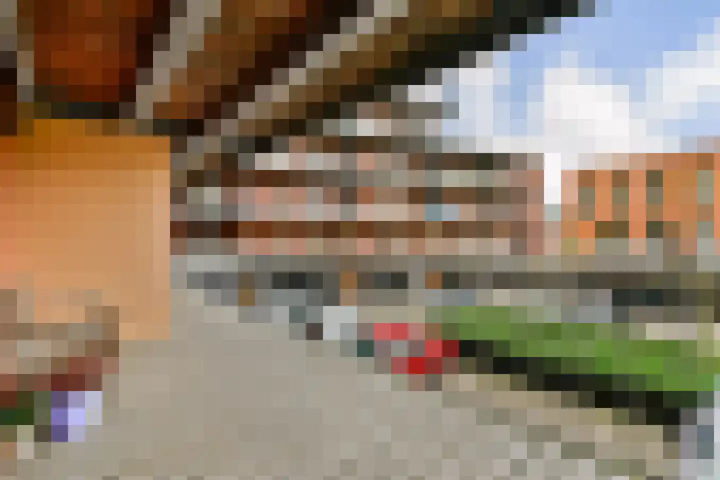 P. Hans Frankfurthersingel 98 Amsterdam thumbnail 21
