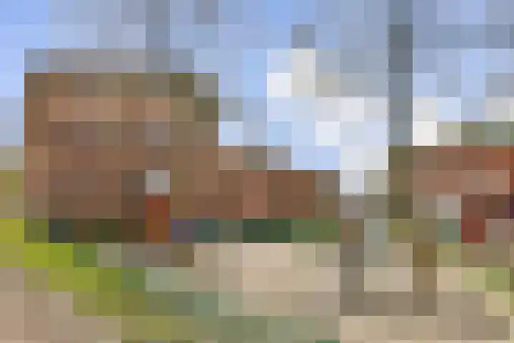 P. Hans Frankfurthersingel 98 Amsterdam thumbnail 26