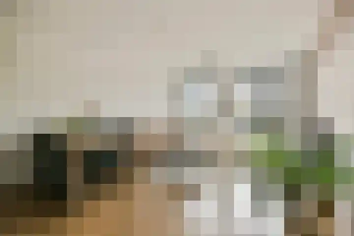 P. Hans Frankfurthersingel 98 Amsterdam thumbnail 5