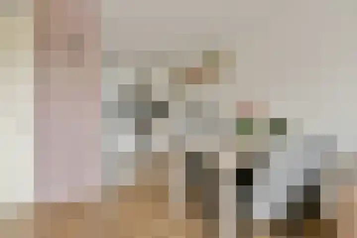 P. Hans Frankfurthersingel 98 Amsterdam thumbnail 6