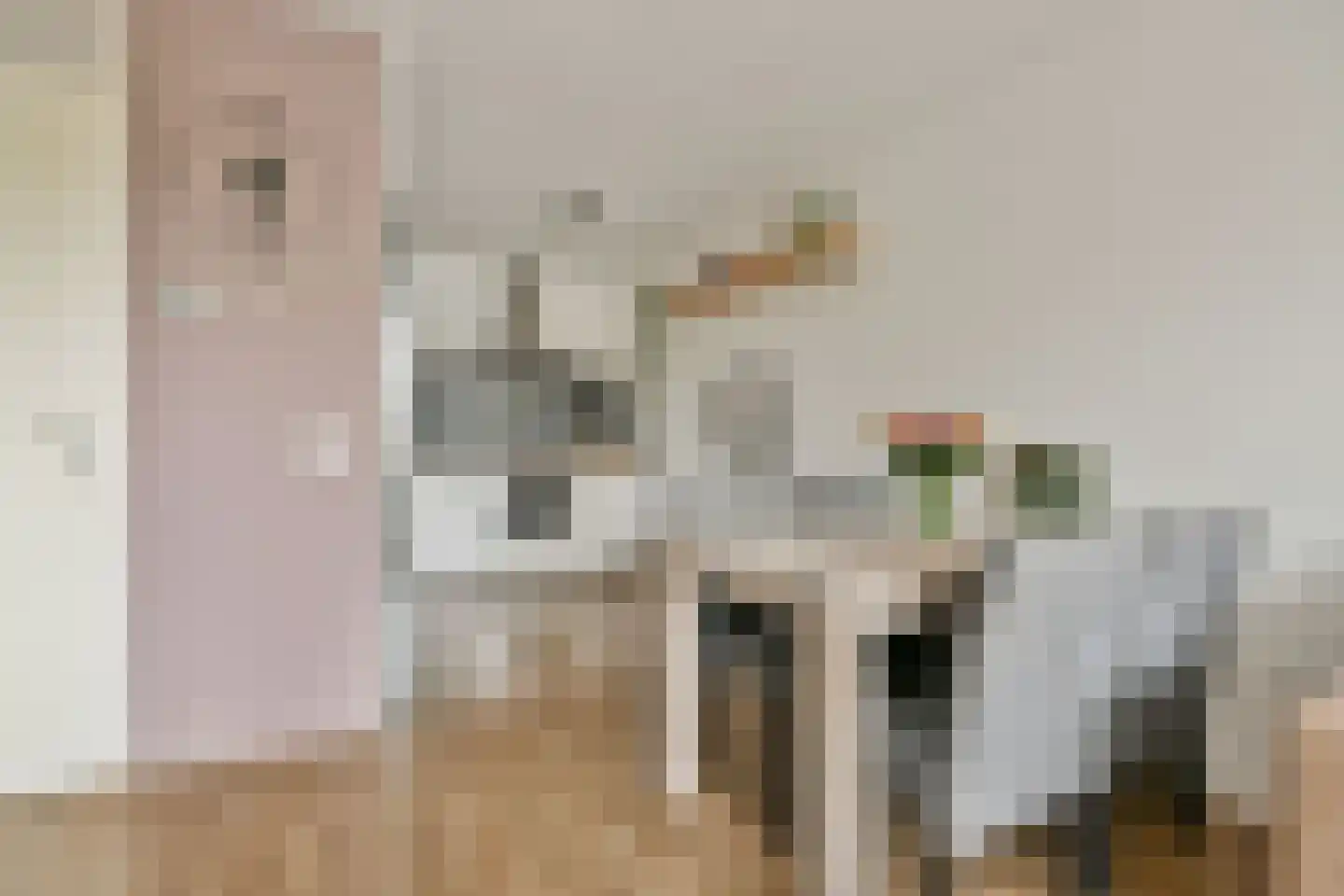P. Hans Frankfurthersingel 98 Amsterdam thumbnail 6