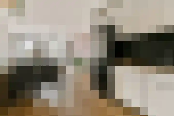 P. Hans Frankfurthersingel 98 Amsterdam thumbnail 9